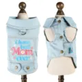 Light blue denim pet vest with daisy embroidery, D-ring for small dogs and cats. - XS / Light Blue