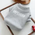 Gray pet hoodie detail shot, comfortable cotton blend winter dog cat clothes with letter print. - XS-Bust 30cm, Length 20cm (Approx 1-1.5kg) / Heather Gray