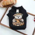Detailed close-up of a black pet hoodie with glittery bear and pumpkin embroidery for Halloween. - XS / Pumpkin Bear