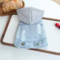 Stylish pet denim hoodie with grey hood, vintage distressed dog clothes for small dogs - XS / Grey Hat Gnome
