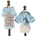 Light blue denim pet shirt with crown embroidery, cute dog clothes for small dogs. - XS / Mom's Sidekick Denim Shirt