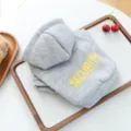 Grey pet dog hoodie with security print soft cotton apparel for small puppies spring wear - XS-Bust 30cm, Length 20cm (Approx 1-1.5kg) / Heather Gray