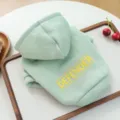 Light green dog hoodie with hooded design and letter print, perfect for small puppy pets in spring. - XS / Bean Green