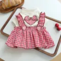 Cute red gingham pet dress with heart embroidery and ruffles for small dogs and cats daily wear. - XS / Dresses