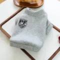 Sudadera con capucha gris para perro cachorro otoño invierno impresión letras detalle. - XS / Gris Vigoré