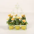 Wall-mounted iron flower basket with three yellow pots and artificial yellow roses decor. - Yellow