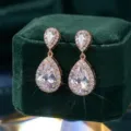 Primo piano dettagliato di eleganti orecchini pendenti in zircone con montatura oro rosa. - Oro Rosa (ER537-3)