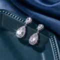Primo piano dettagliato di orecchini pendenti in zircone lucidi e brillanti. - Argento (ER537-1)