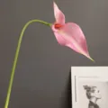 Künstliche EVA Calla Lilie Blume Detail, langer Stiel rosa Pflanze für moderne Dekoration. - Rosa