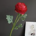 Artificial ranunculus flower detail, high simulation single stem red peony for home decoration. - Bright Red