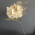 Primo piano dettagliato della testa di fiore di ortensia finta e delle foglie strutturate. - Bianco Latte