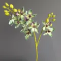 Primer plano de rama de flor de orquídea artificial, detalles de capullos y flores - Verde Sirena
