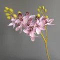 Rametto di orchidea artificiale al tatto morbido per decorazioni domestiche e composizioni floreali. - Rosa tè al latte