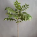Primer plano de rama de planta verde artificial, follaje realista para la decoración. - H90CM / 1# Verde
