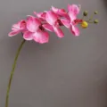 Künstlicher Orchideen-Blütenzweig 7 Köpfe rosa Phalaenopsis für Heimdekoration Hochzeit - Dunkelrosa