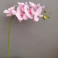 Tallo único de orquídea Phalaenopsis artificial con flores rosadas rayadas hogar. - Rosa Gelatina