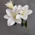 Primer plano detallado de rama de flor de lirio blanco artificial, textura realista. - Blanco