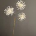 Künstlicher Blumenzweig Detail weiße Kugel Löwenzahn Dekoration für die Inneneinrichtung. - H62CM / Milchweiß