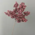 Dettaglio del ramo di bacche invernali artificiali con bacche di schiuma dense per composizioni floreali. - Marrone scuro