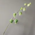 Detalle de rama de físalis artificial de PU, tallo de farolillo chino verde para hogar. - Verde