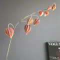Rama artificial de physalis o farolillo chino tallo decorativo de muy gran detalle - Café