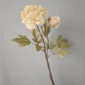 Tallo de flor de peonía artificial con dos cabezas y hojas realistas para la decoración - H65CM / Blanco Lechoso