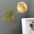 Detalle de tallo de rosa amarilla artificial, flor de seda estilo pintura al óleo para hogar. - Beige
