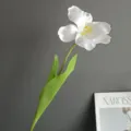 Primer plano de tallo único de tulipán blanco artificial, decoración floral minimal. - Blanco Crema