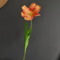 Flor de tulipán artificial de tallo único decoración floral para el hogar minimalista. - Naranja