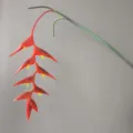Rama artificial colgante de flor ave del paraíso para decoración de boda detalle - W107 Rojo