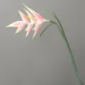 Künstliche Helikonien Blume Stiel Detailaufnahme für Heimdekor, Hotel und Hochzeitsdekoration. - 20CM*H86CM / 03 Hellrosa