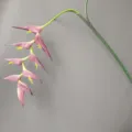 Detalle de rama de flor de heliconia colgante artificial, primer plano de goma suave. - A56 Púrpura