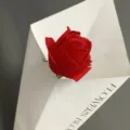 Primer plano de una rosa artificial roja en caja geométrica blanca para decoración. - Rojo Brillante