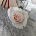 Detalle de flor de rosa artificial, rama de flores falsas color Morandi para decoracion y bodas. - Rosa Morandi