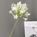 Flor artificial de agapanto blanco de tallo único para decoración del hogar y bodas modernas. - Crema