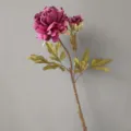 Dettaglio fiore di peonia vintage artificiale, petali bruciati e gambo realistico. - H65CM / Viola Rosa