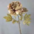 Rama de peonía retro artificial con dos cabezas para decoración del hogar y diseño de bodas - H65CM / Café Verde