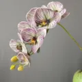 Ramo di orchidea falena artificiale con petali a strisce viola per la decorazione domestica. - Centro Viola Verde