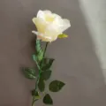 Gros plan détaillé d'une tige de rose blanche artificielle, montrant des feuilles réalistes. - Blanc