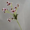 Primer plano detalle de la rama de flor de margarita violeta artificial para la decoración. - Púrpura
