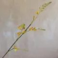 Detalle de rama de flor artificial, capullos y flores amarillas para decoración del hogar. - H90CM / Dorado