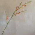 Flor artificial rama larga planta falsa decoracion hogar accesorio foto naranja - H90CM / Dorado Rojo