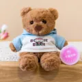 Simpatico orsacchiotto di peluche con felpa con cappuccio, morbido peluche da scrivania. - Stile 1