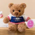 Primo piano di un simpatico orsetto di peluche marrone con felpa con cappuccio. - modello 2