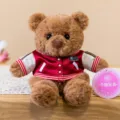Simpatico orsacchiotto di peluche marrone con giacca varsity rossa, decorazione da scrivania. - Modello 5