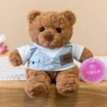 Primo piano sui dettagli dell'orso di peluche marrone con gilet alla moda e maglietta. - Stile 8