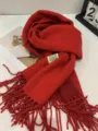 Cozy red imitation cashmere winter scarf featuring fringe and a stylish brand tag. - Double-Sided Red