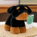 Black brown puppy plush toy detail view, soft stuffed animal doll for kids gift decoration. - 20cm / Black and Yellow