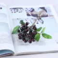 Ramoscello di bacche artificiali fiore finto stelo decorazione casa pianta disposizione floreale - Borgogna