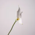 Artificiel Double Calla Lys Blanc Arum Fleur Tige Décoration De Maison Photographie Accessoire - Blanc